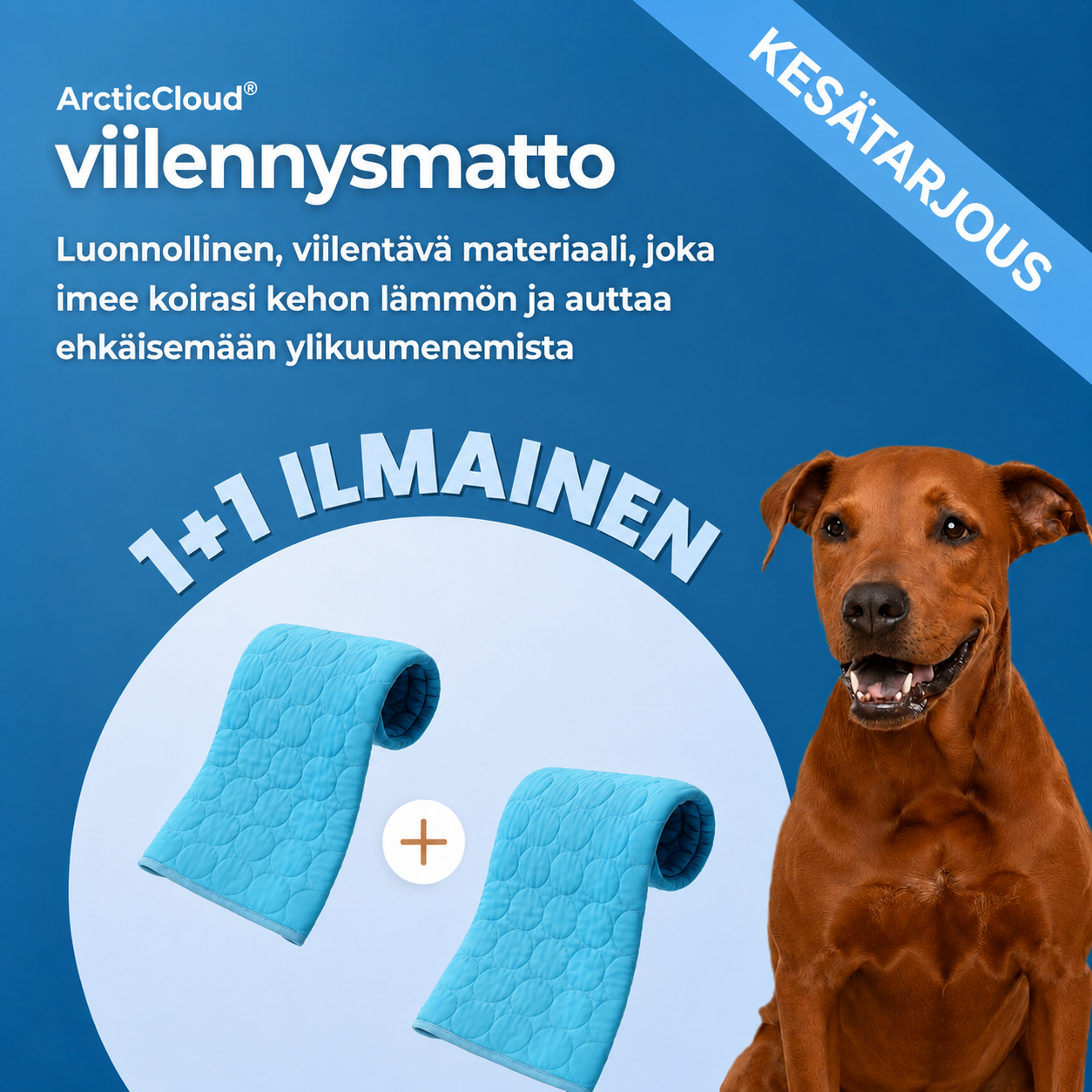ArcticCloud® - Viilentävä koiran viilennysmatto (1+1 ILMAISEKSI)