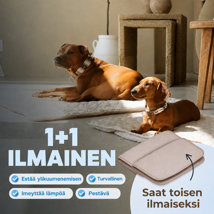 ArcticCloud® - Viilentävä koiran viilennysmatto (1+1 ILMAISEKSI)