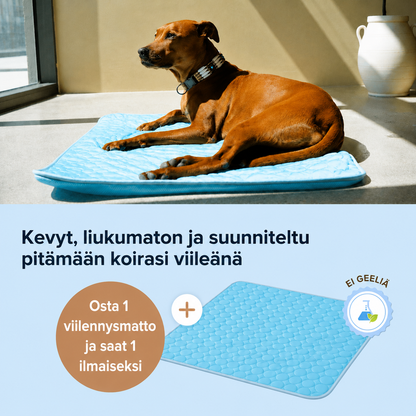 ArcticCloud® - Viilentävä koiran viilennysmatto (1+1 ILMAISEKSI)
